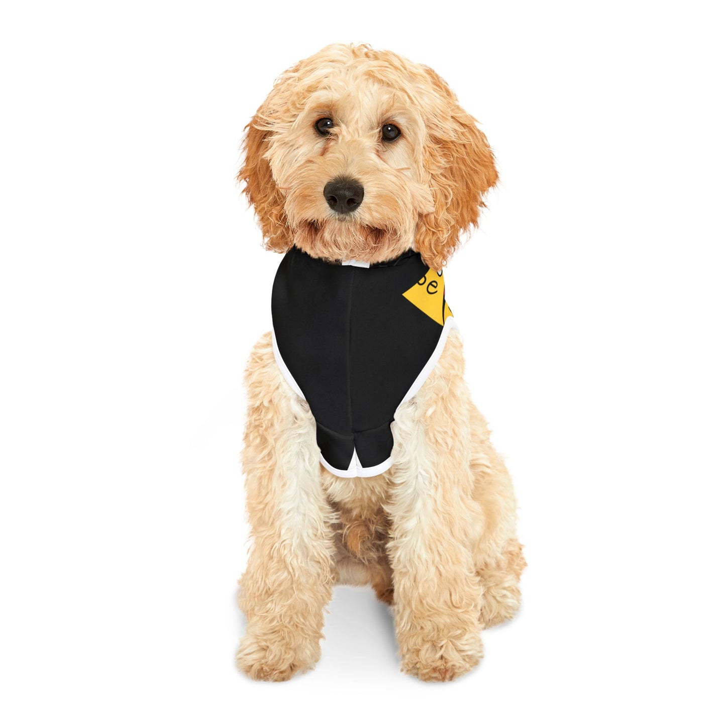 Retro 80s Pet Hoodie – Colorful Mixtape Boom Box Design